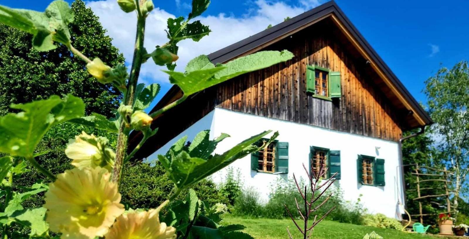 Estate Ana Konuk evi Ptuj Dış mekan fotoğraf