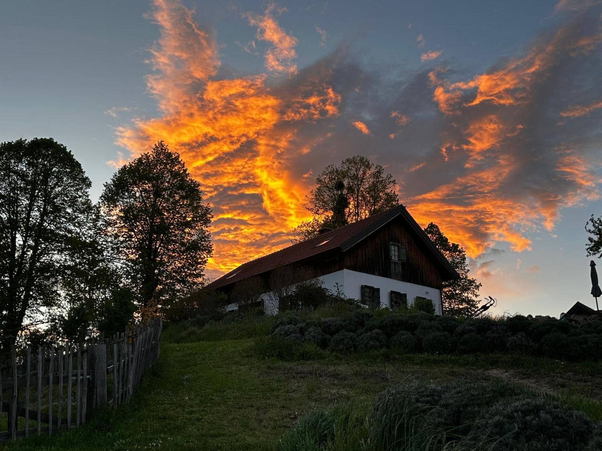 Estate Ana Konuk evi Ptuj Dış mekan fotoğraf
