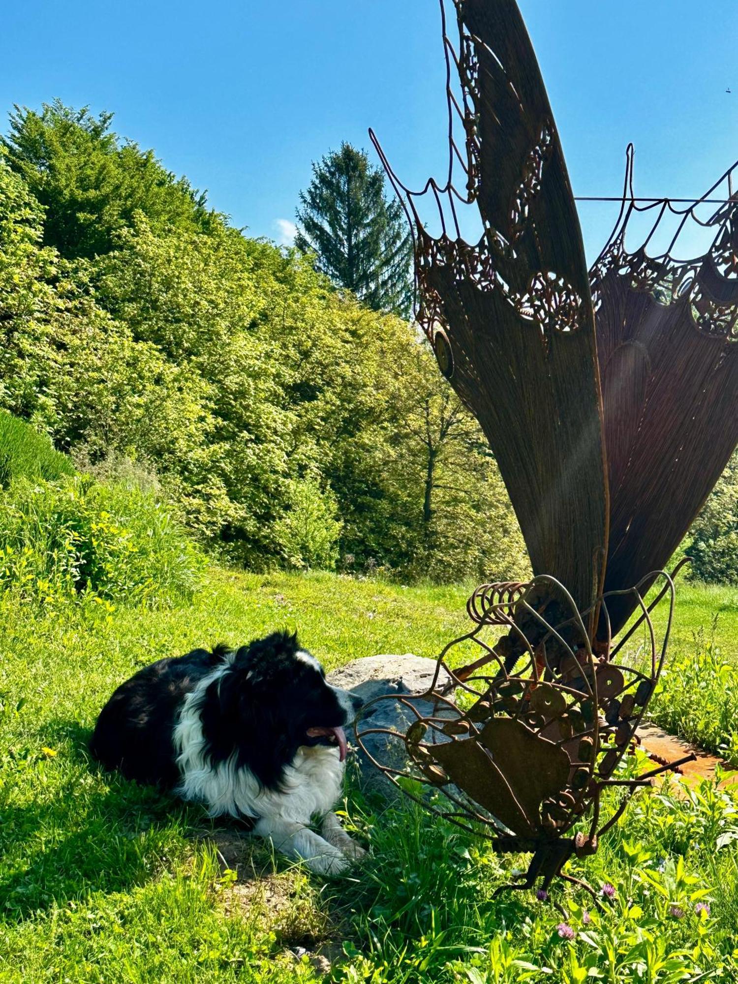 Estate Ana Konuk evi Ptuj Dış mekan fotoğraf